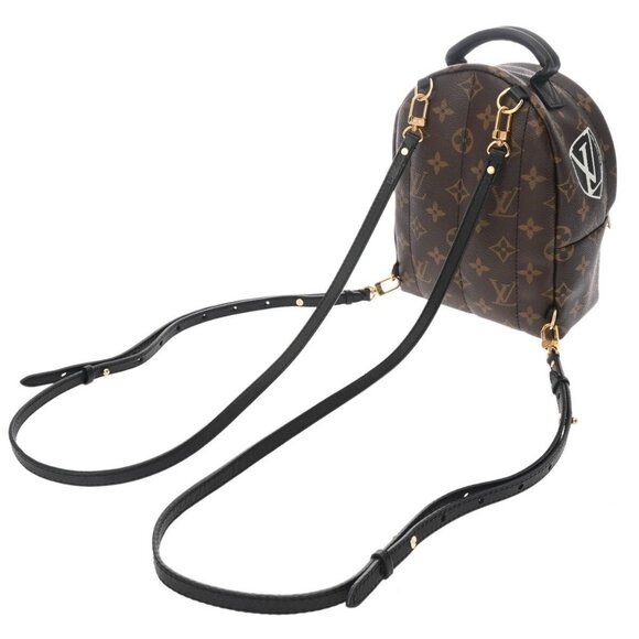 LOUIS VUITTON Monogram Palm Springs Backpack World Tour - Picture 3 of 15